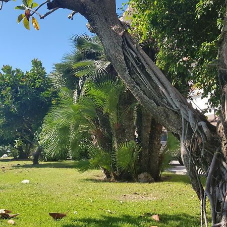 شقة Complex Vicor فيلاسار دي مار المظهر الخارجي الصورة